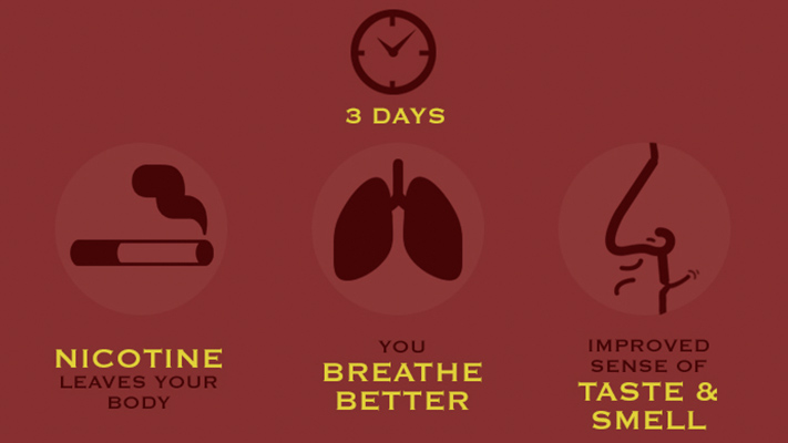 What Happens To Your Body When You Quit Smoking Chart