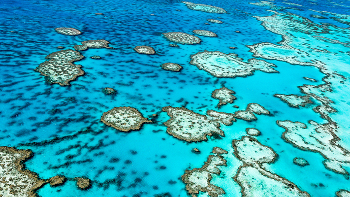 Great Barrier Reef Marine Best National Reserves